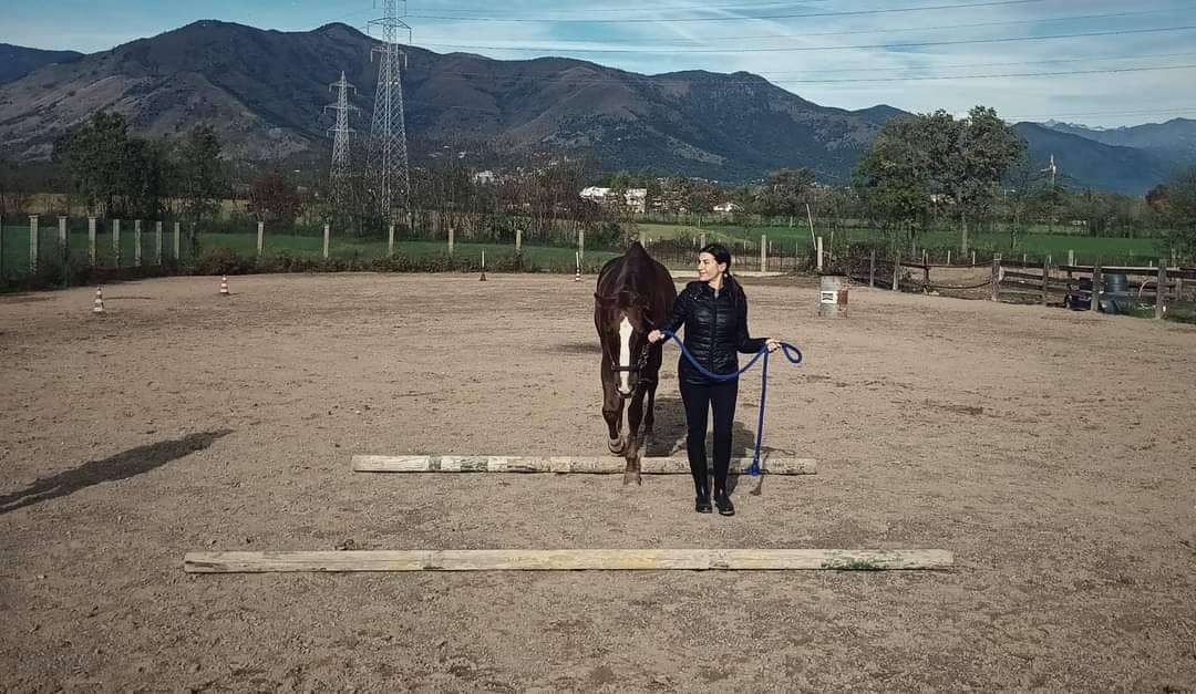 Horse counseling